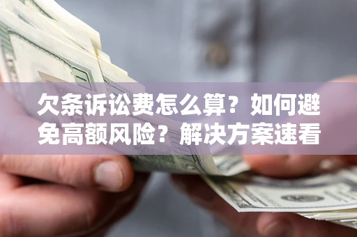 济南欠条诉讼费怎么算？如何避免高额风险？解决方案速看！