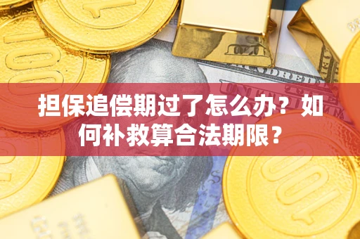 济南担保追偿期过了怎么办？如何补救算合法期限？