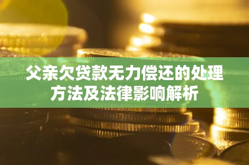济南父亲欠贷款无力偿还的处理方法及法律影响解析